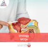 HAAD Urology MCQs